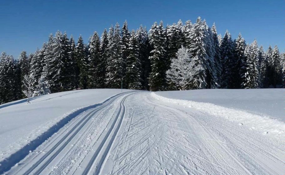 Wisnerloipe