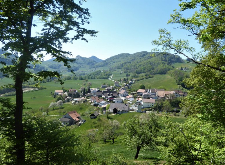 Blick auf das Dorf Hauenstein