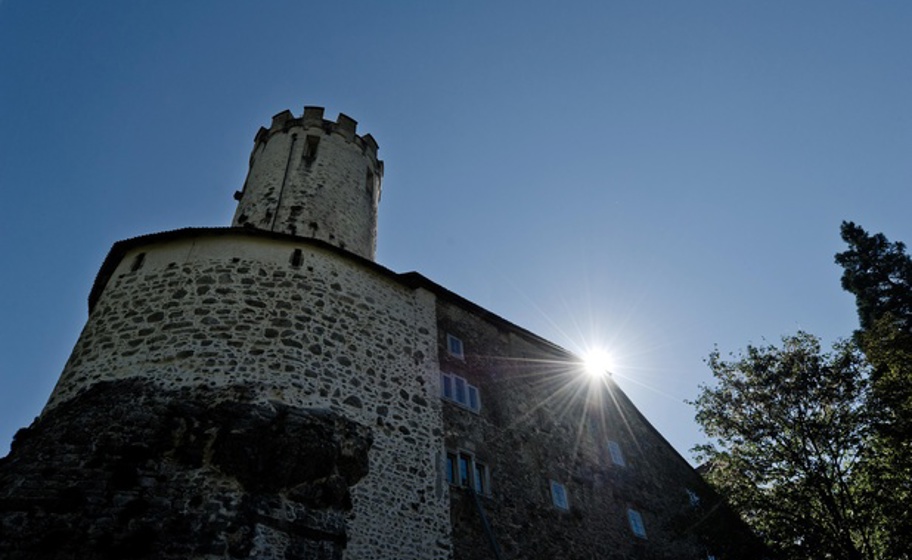 Schloss Neu-Bechburg