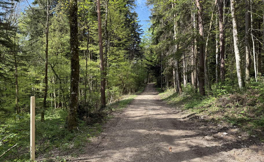 Egerkinger Poesieweg
