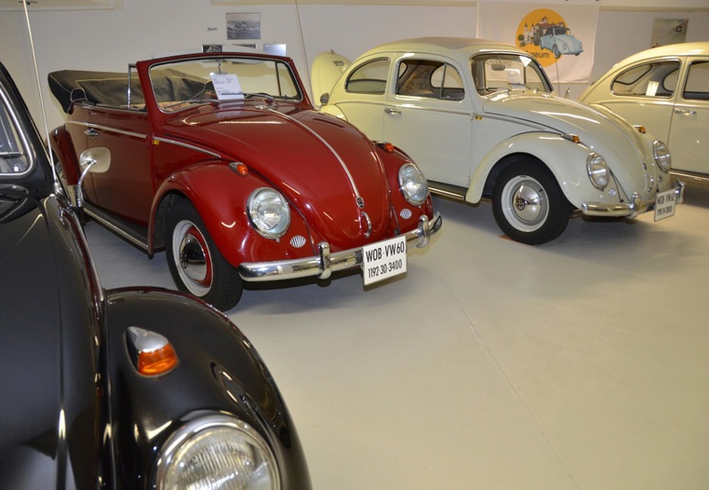 vw_kaefer_0081