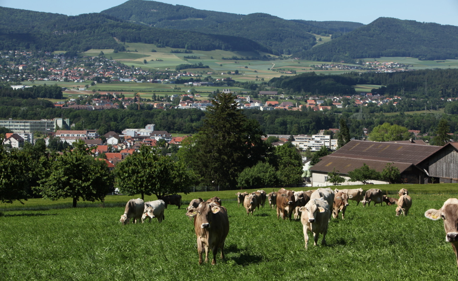 Gemeinde Dulliken