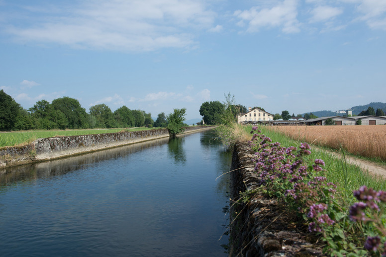 Themenweg Aare Land Weg
