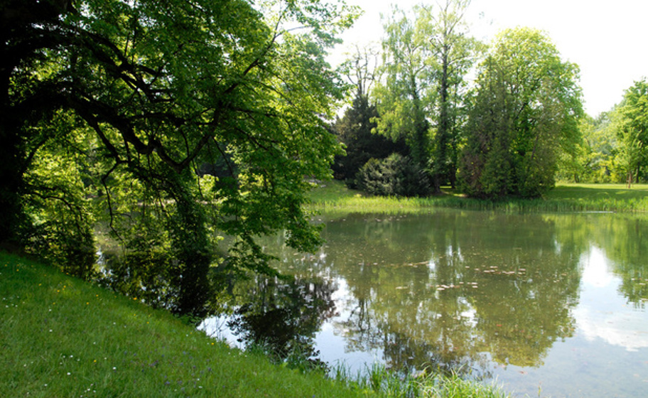 Bally Park