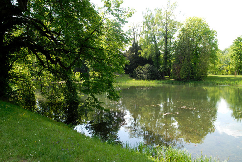 bally-park_1