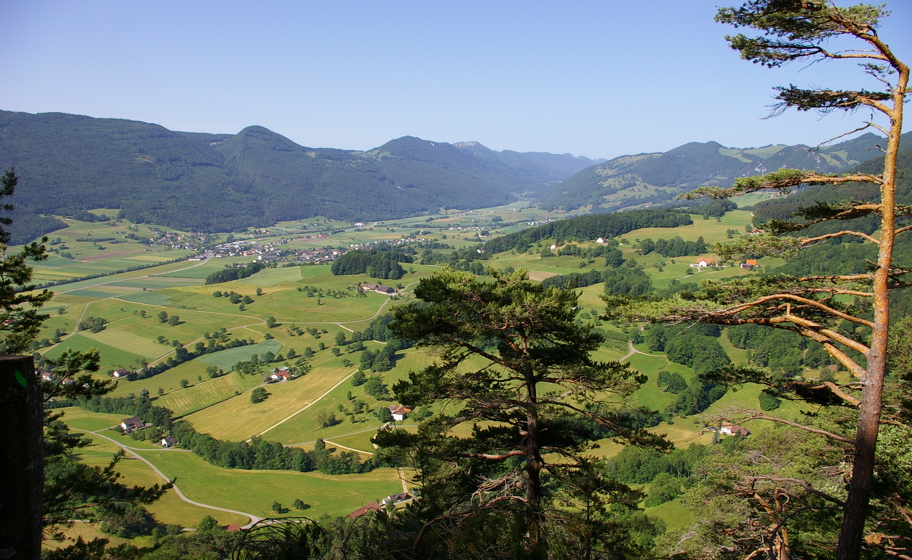 Activités de groupe au parc naturel de Thal