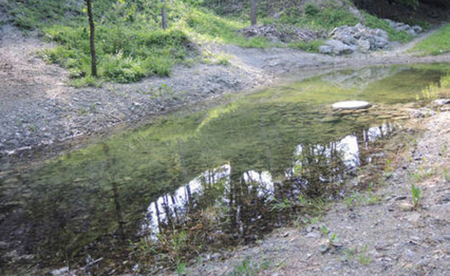 Carrière de gypse de Kienberg