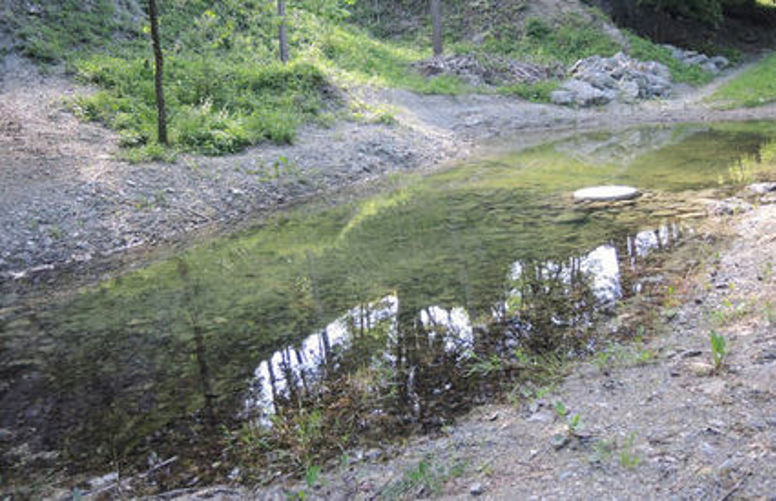 gloegglifroschteich_kienberg_1920x1239_pro_natura_solothurn_0