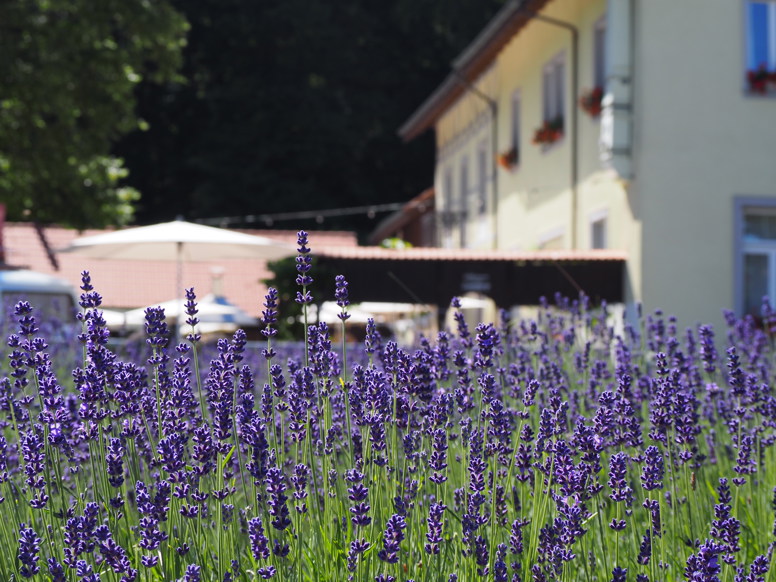 Gasthof EBERG