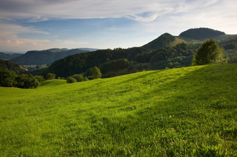 Der Jura